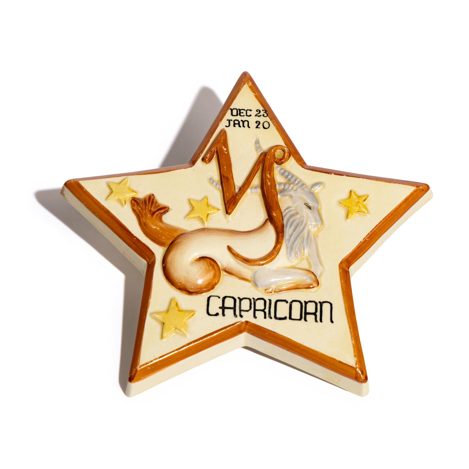 Capricorn 'Star Sign' wall plaque