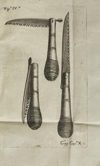 [Natural History] Quintinie, Jean de la. Trattato Del Taglio de Gl'Alberi Fruttiferi Del fu Monsu Della Quintinye...