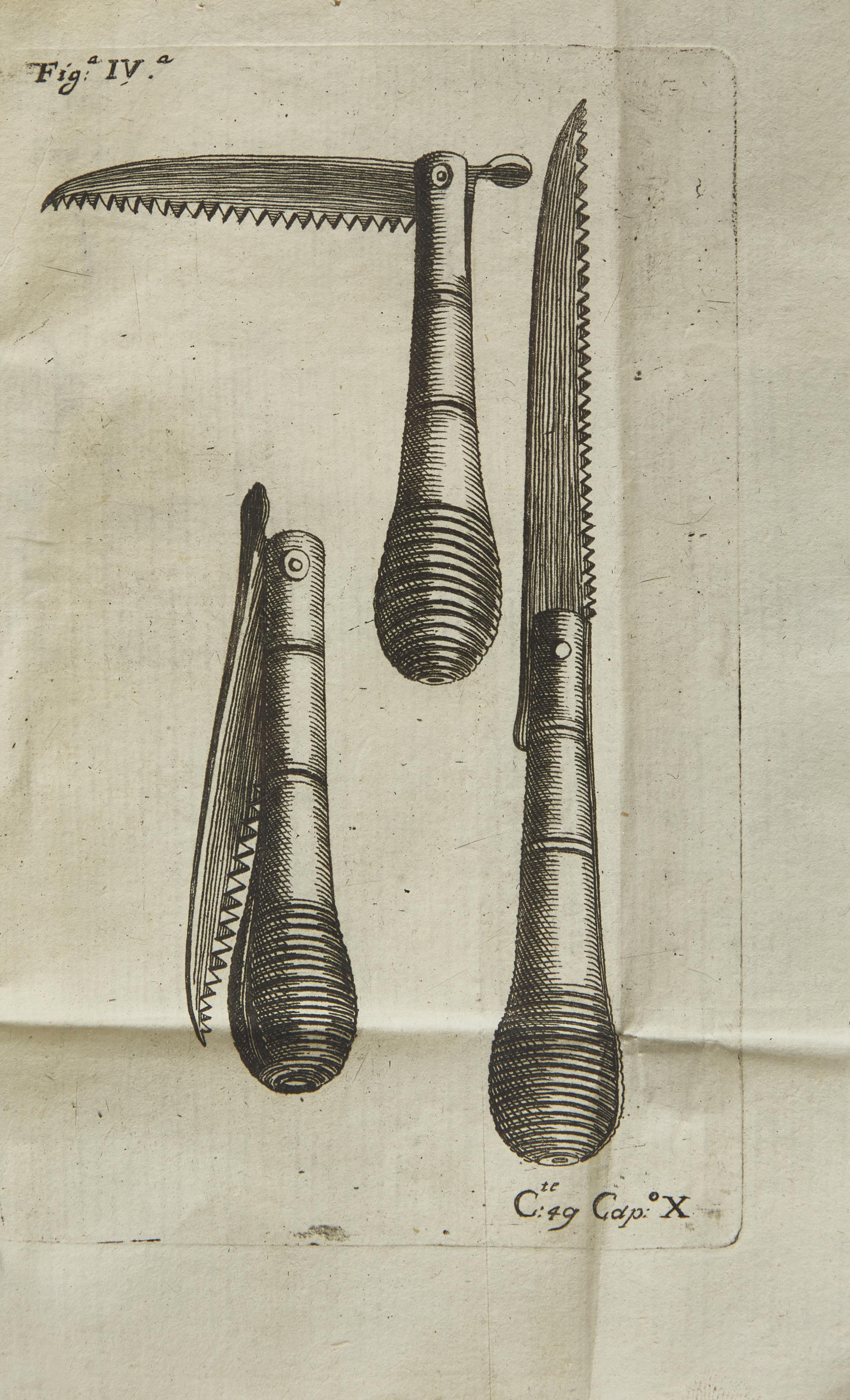 [Natural History] Quintinie, Jean de la. Trattato Del Taglio de Gl'Alberi Fruttiferi Del fu Monsu Della Quintinye...