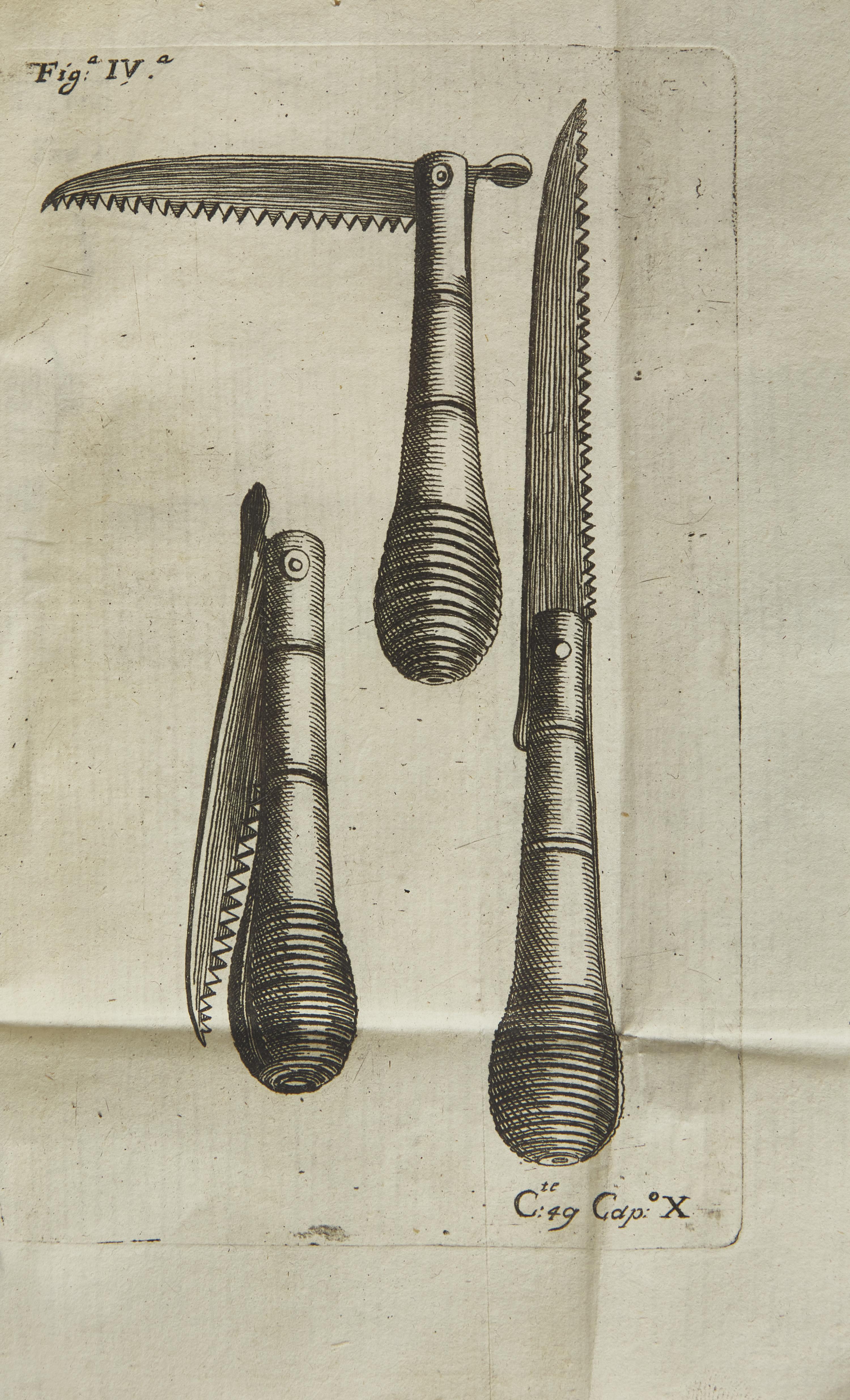[Natural History] Quintinie, Jean de la. Trattato Del Taglio de Gl'Alberi Fruttiferi Del fu Monsu Della Quintinye...