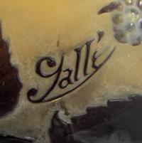 Emile Galle, (French, 1846-1904), a mold blown cameo glass vase, with raspberry decoration