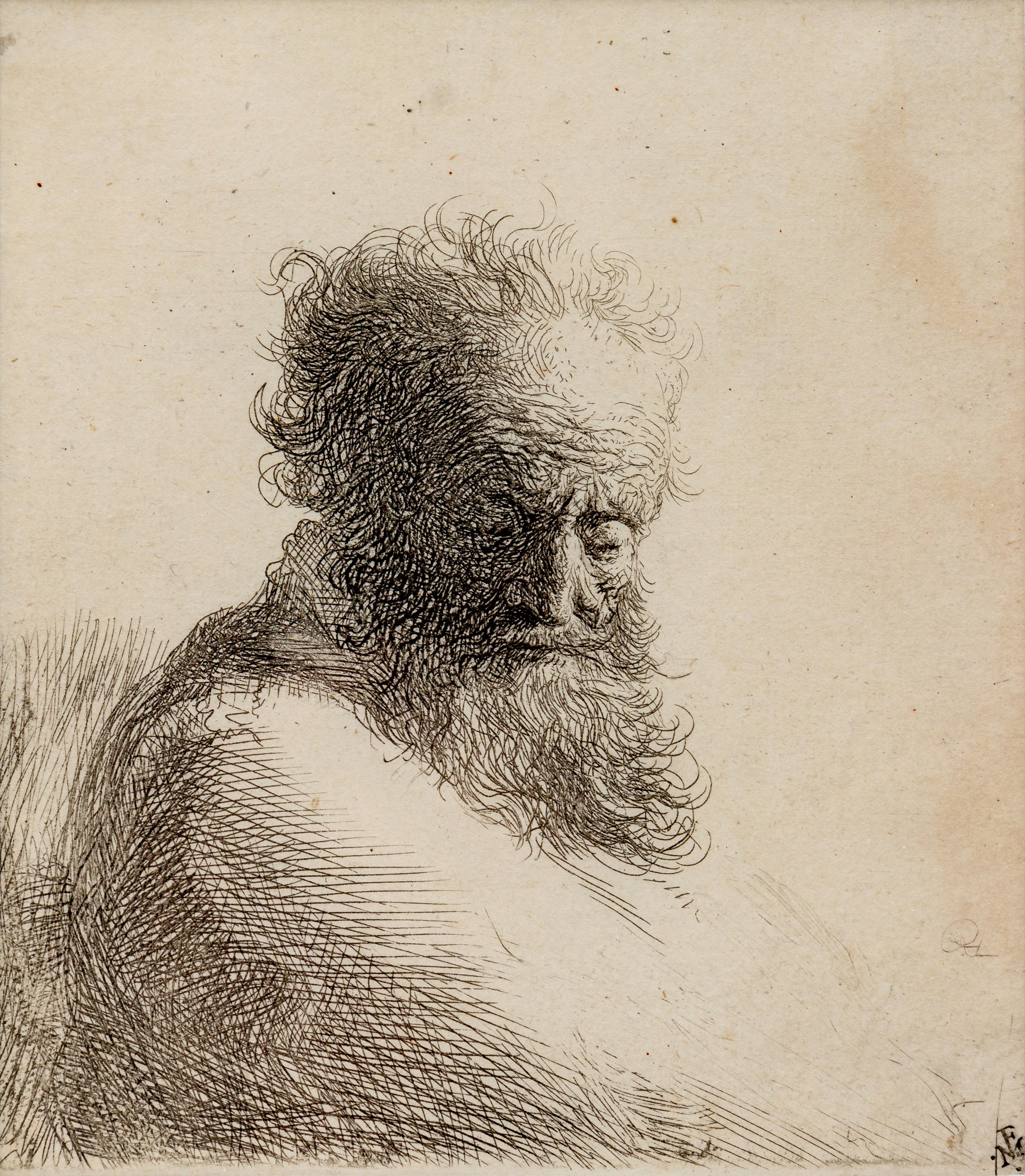 Bust of an Old Bearded Man, Looking Down
