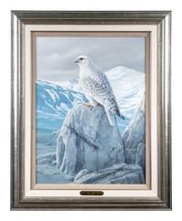 Arctic Sentry- White Gyrfalcon
