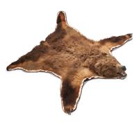 A Taxidermy Brown Bear Rug