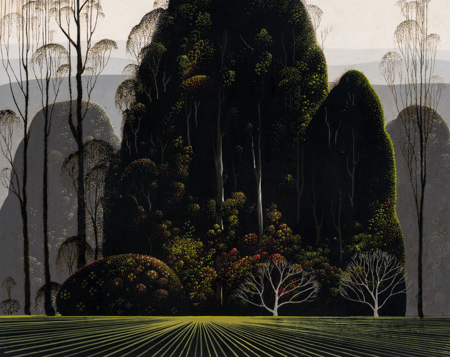 Eucalyptus