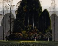 Eucalyptus