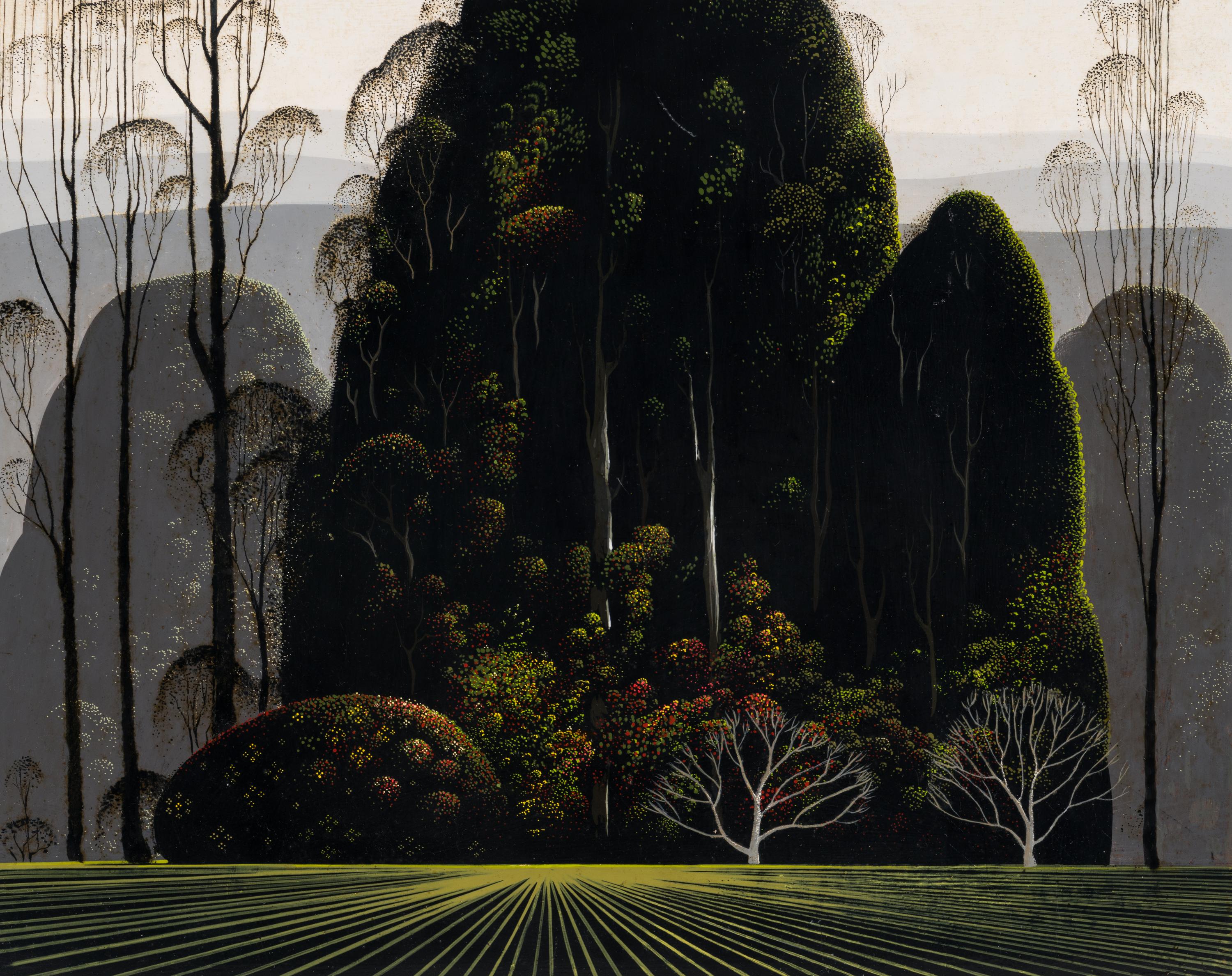 Eucalyptus