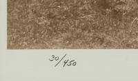 A Group of Six modern Photographs