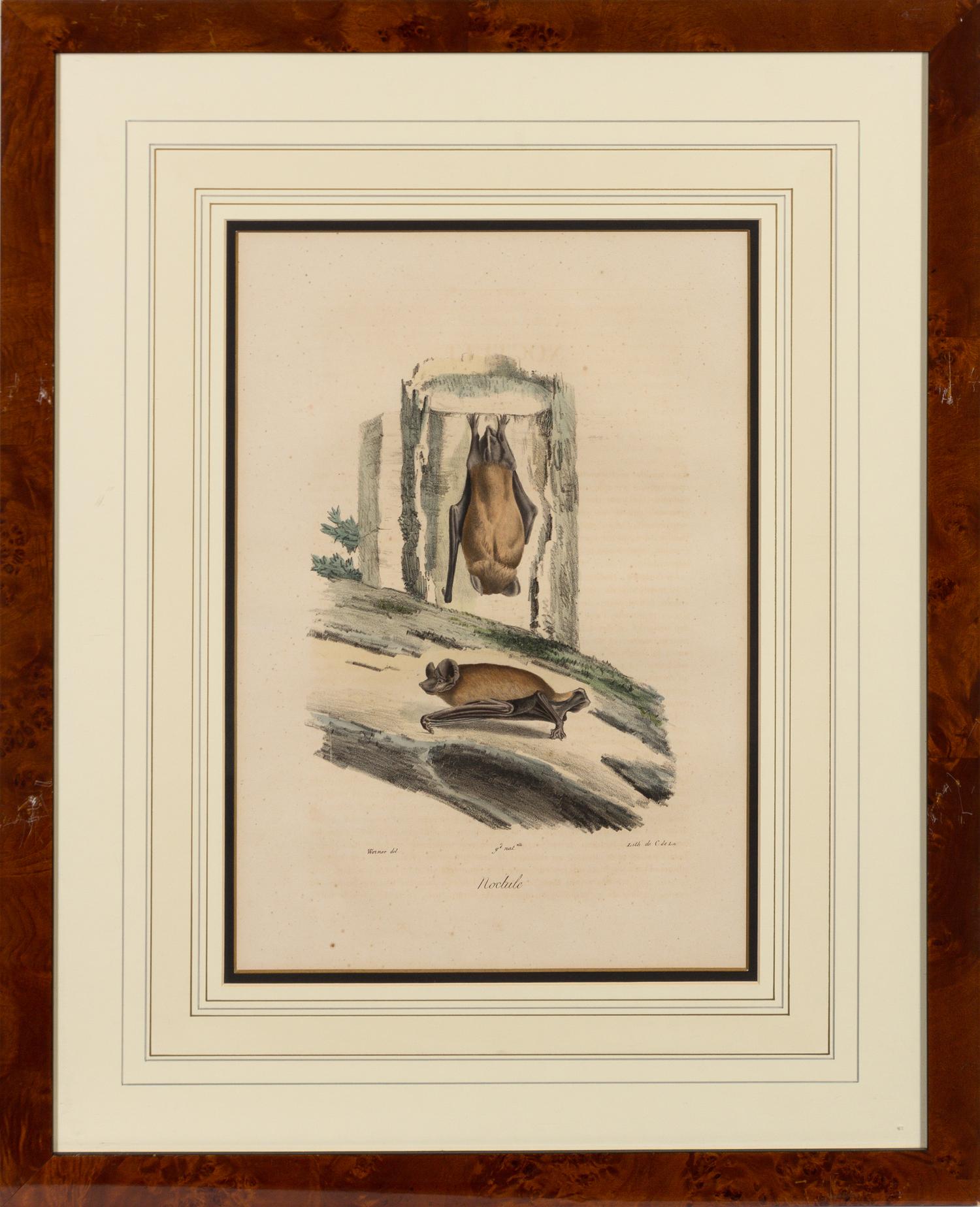 A Set of Six Animalier Prints 15 3/4 x 10 3/4 inches. — 19TH CENTURY