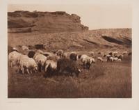 Navaho Flocks , Plate 33