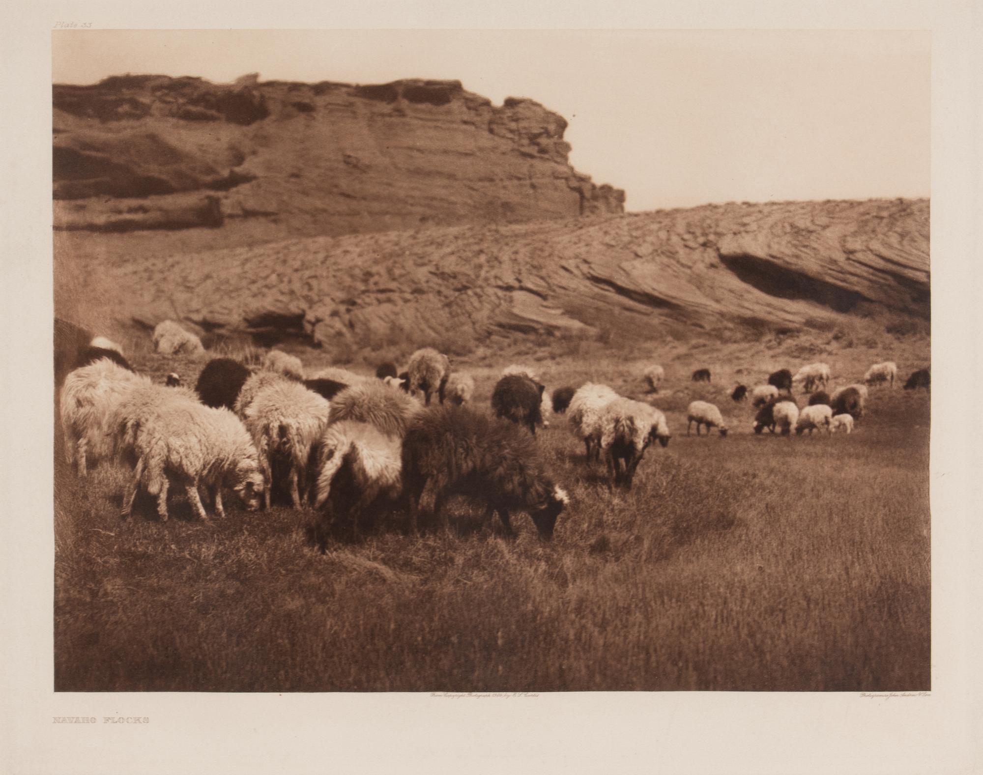 Navaho Flocks , Plate 33