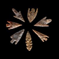 101 Neolithic Flint Points