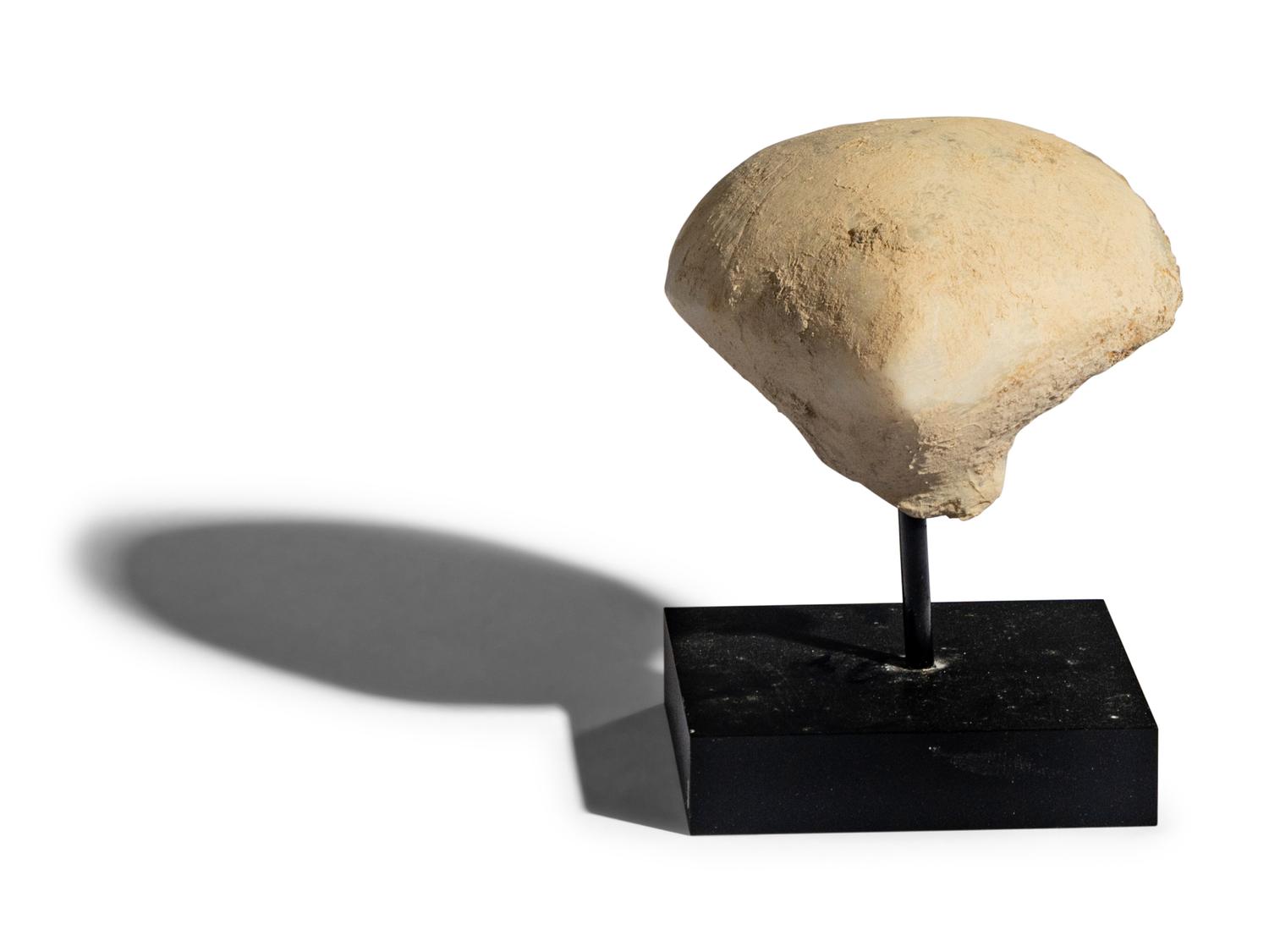 An Anatolian Marble Head