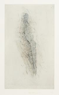 Sources and Structures (five works)