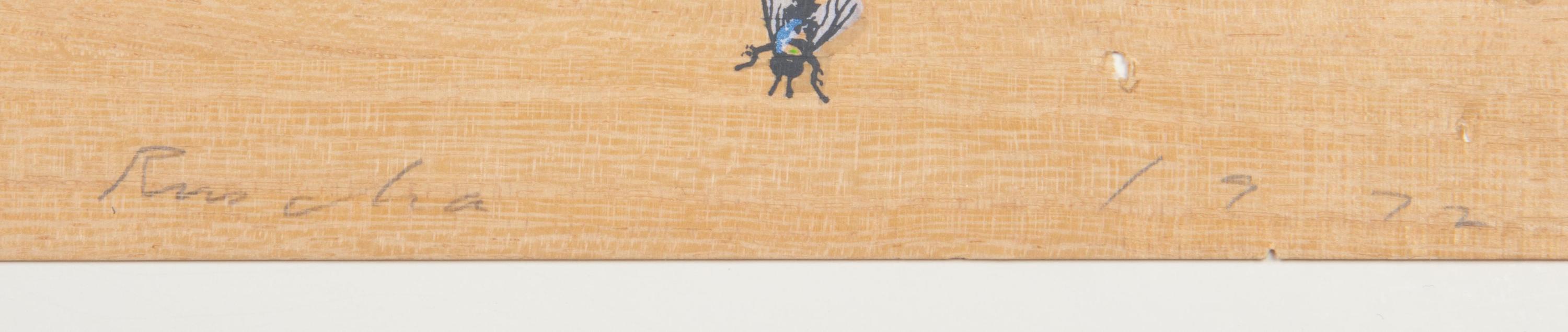Flies (from Insects Portfolio )