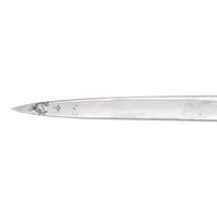 Very Fine Ames Model 1850 Foot Officers Sword & Scabbard