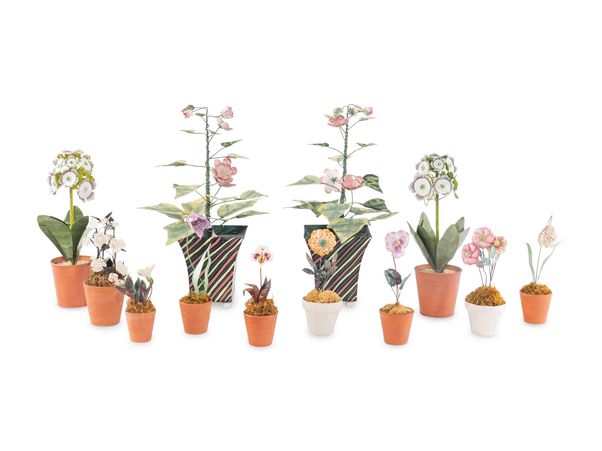 A Group of Twelve Tôle Models of Flowering Plants