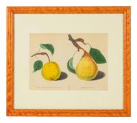 A Framed Decorative Print