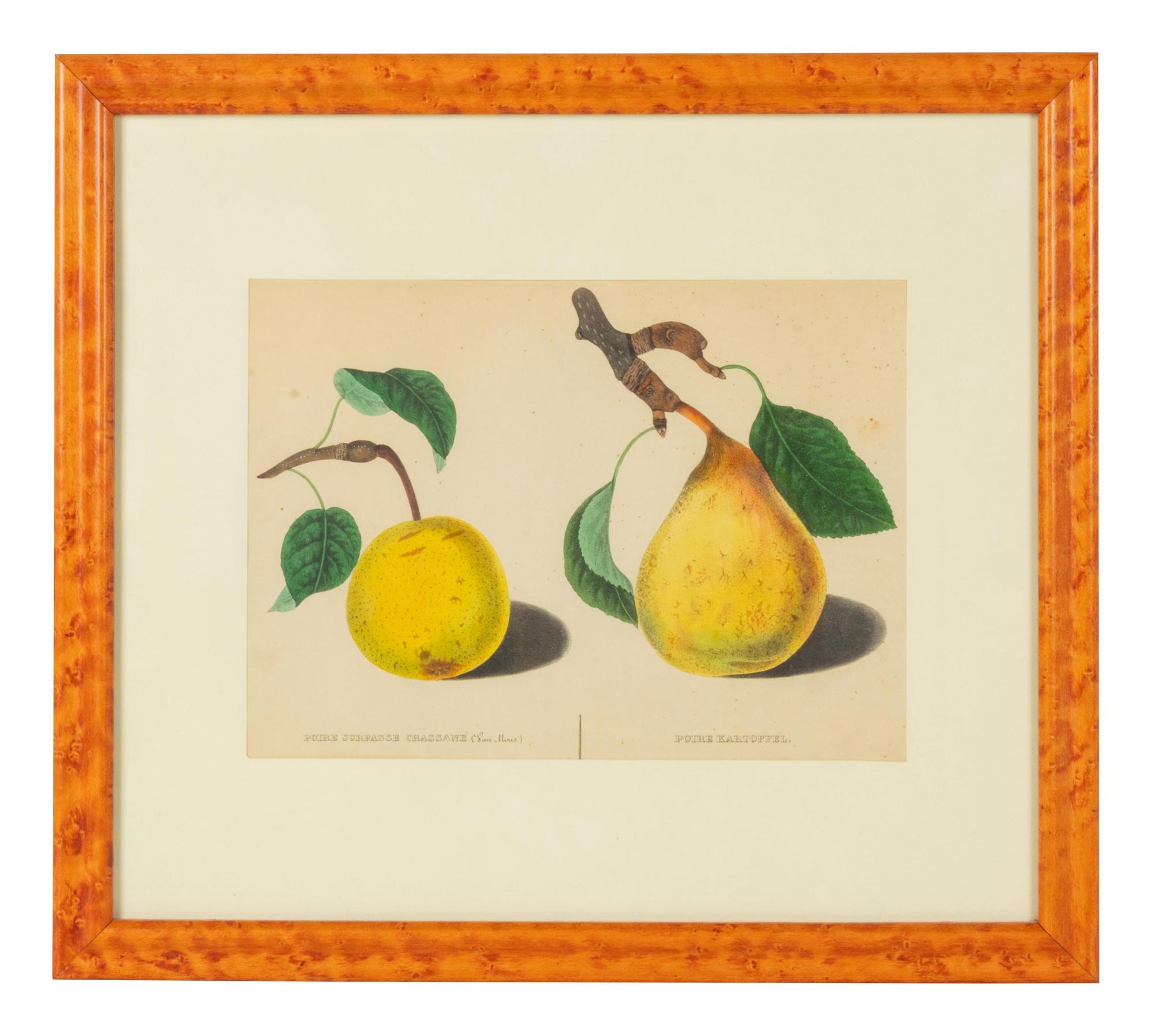 A Framed Decorative Print