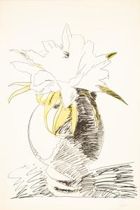 Flowers (Hand Colored)