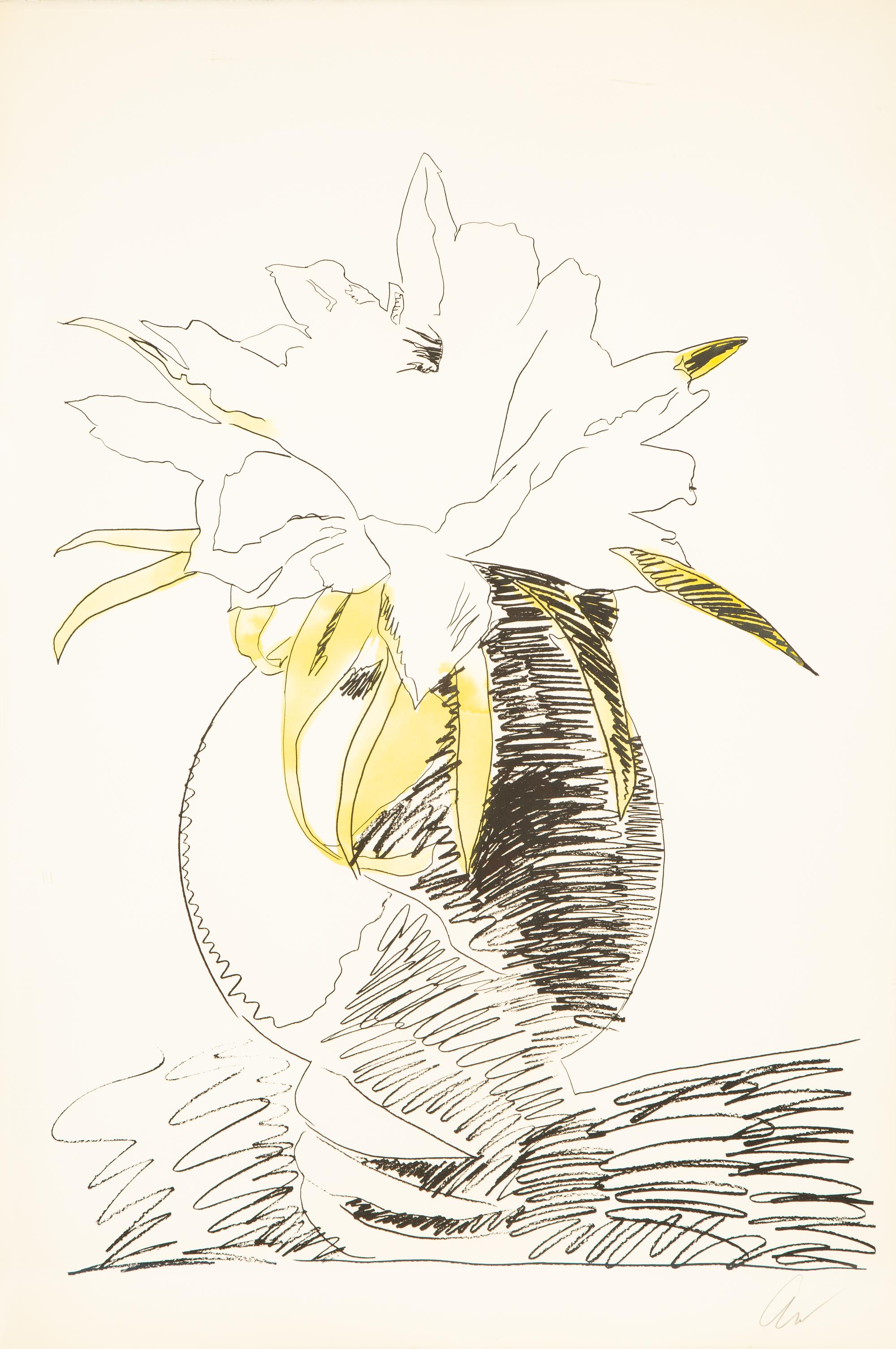Flowers (Hand Colored)