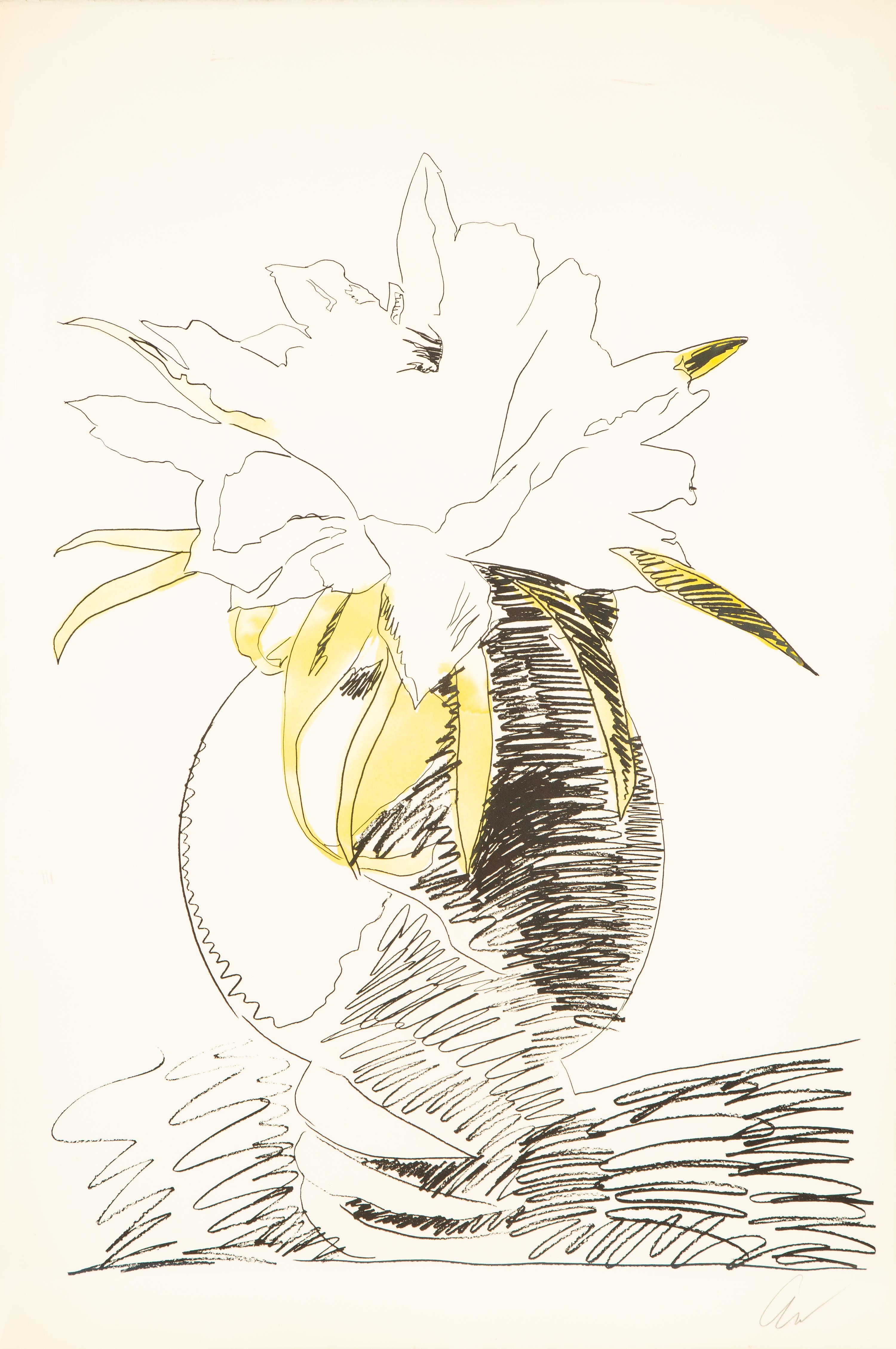 Flowers (Hand Colored)