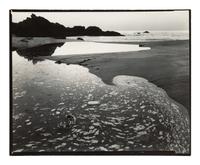 Coastal Scene, California, 1955