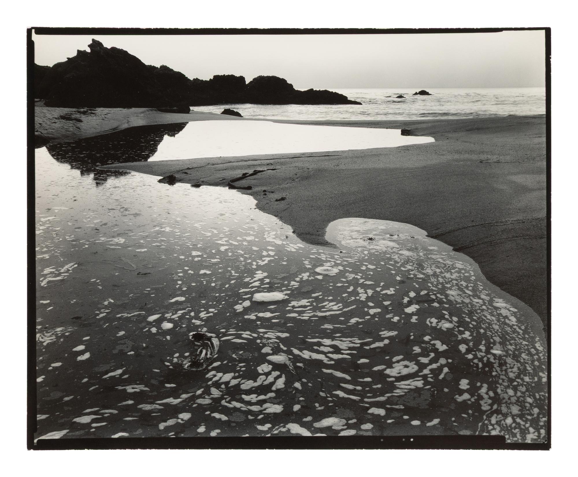 Coastal Scene, California, 1955