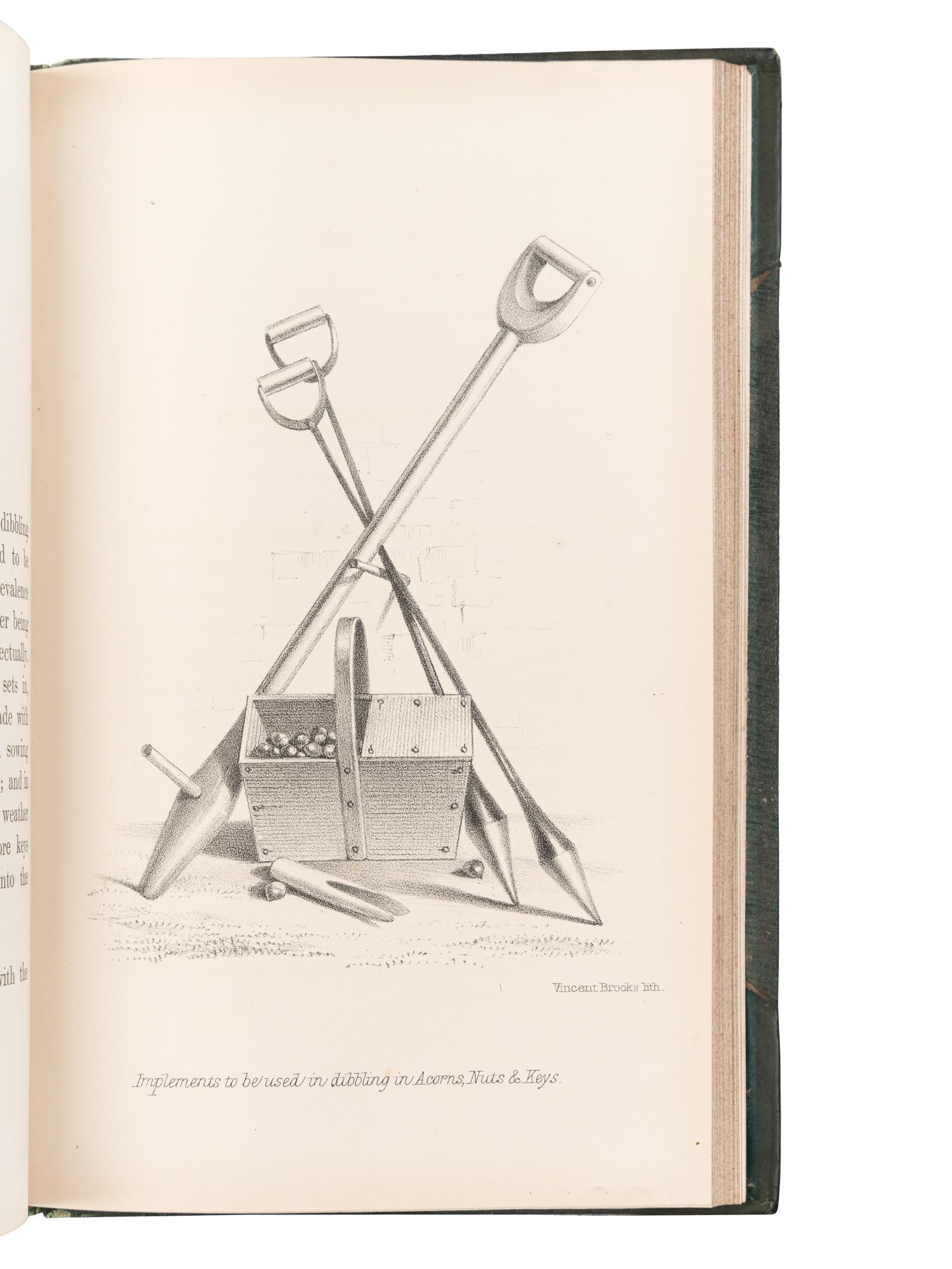 [BRITISH FLORA & FAUNA]. A group of 5 works, comprising: