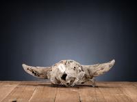 Plains Painted Bison Skull