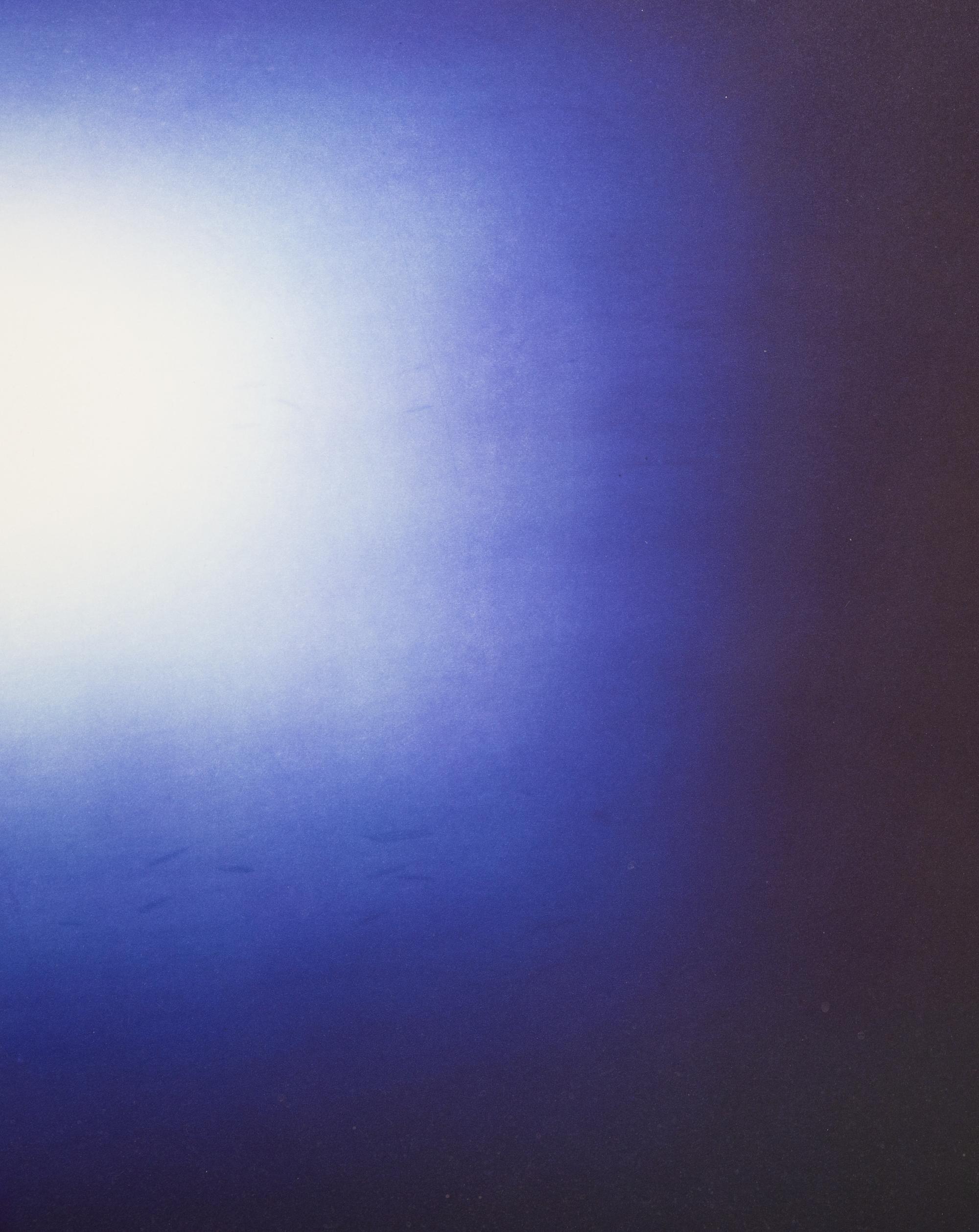 Shadow IV (Dark Blue)