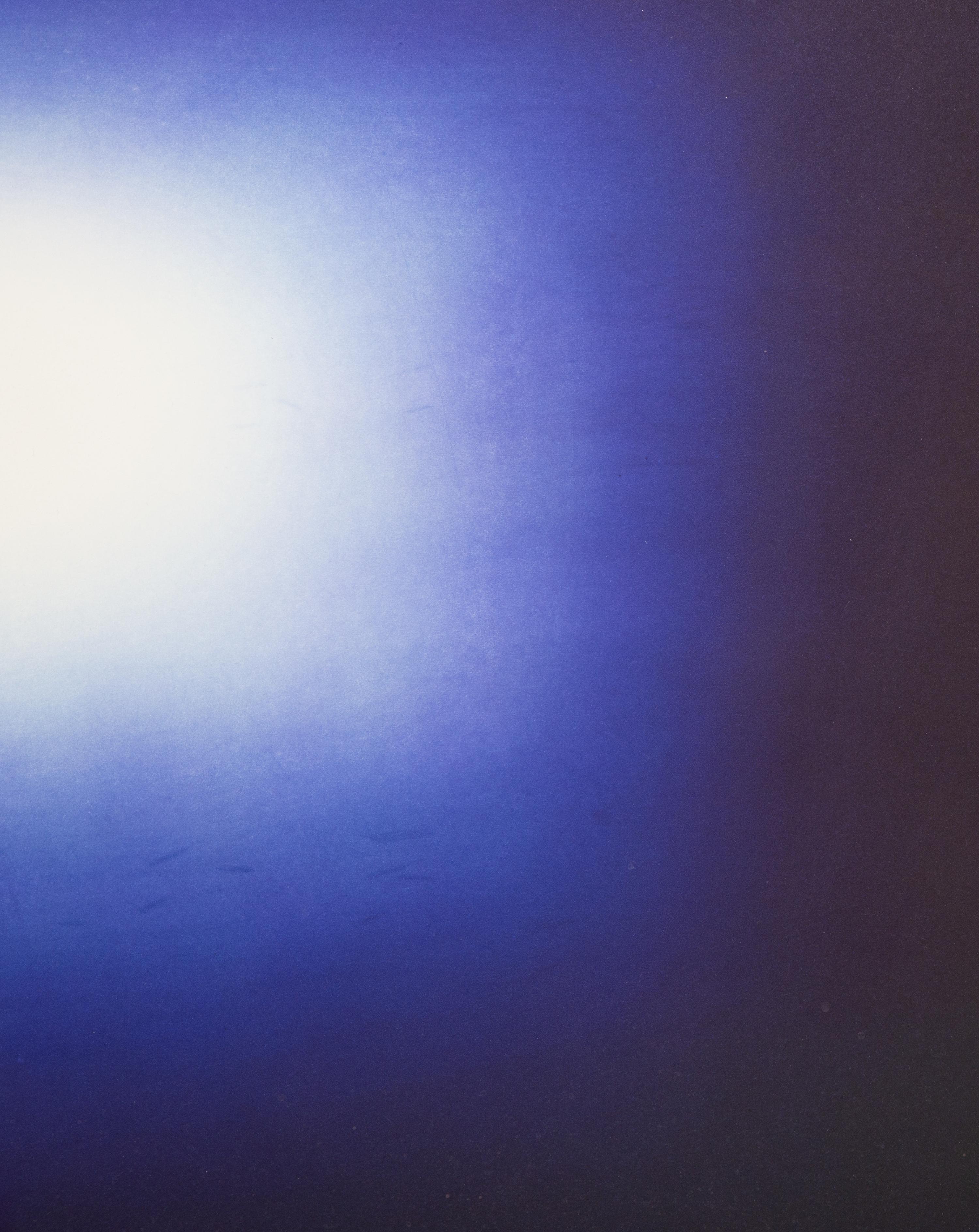 Shadow IV (Dark Blue)