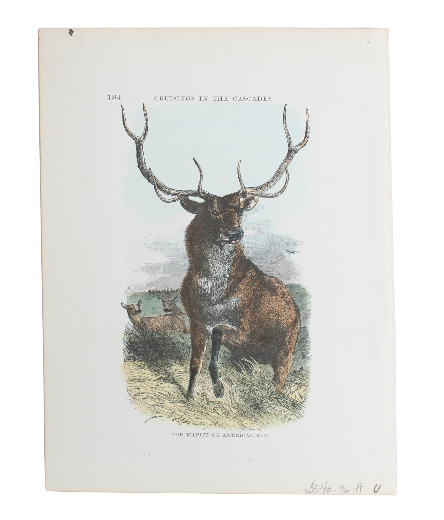Eight Hand Colored Animal Prints Height 7 1/2 x width 10 3/4 inches (largest) — LATE 19TH/EARLY 20TH CENTURY