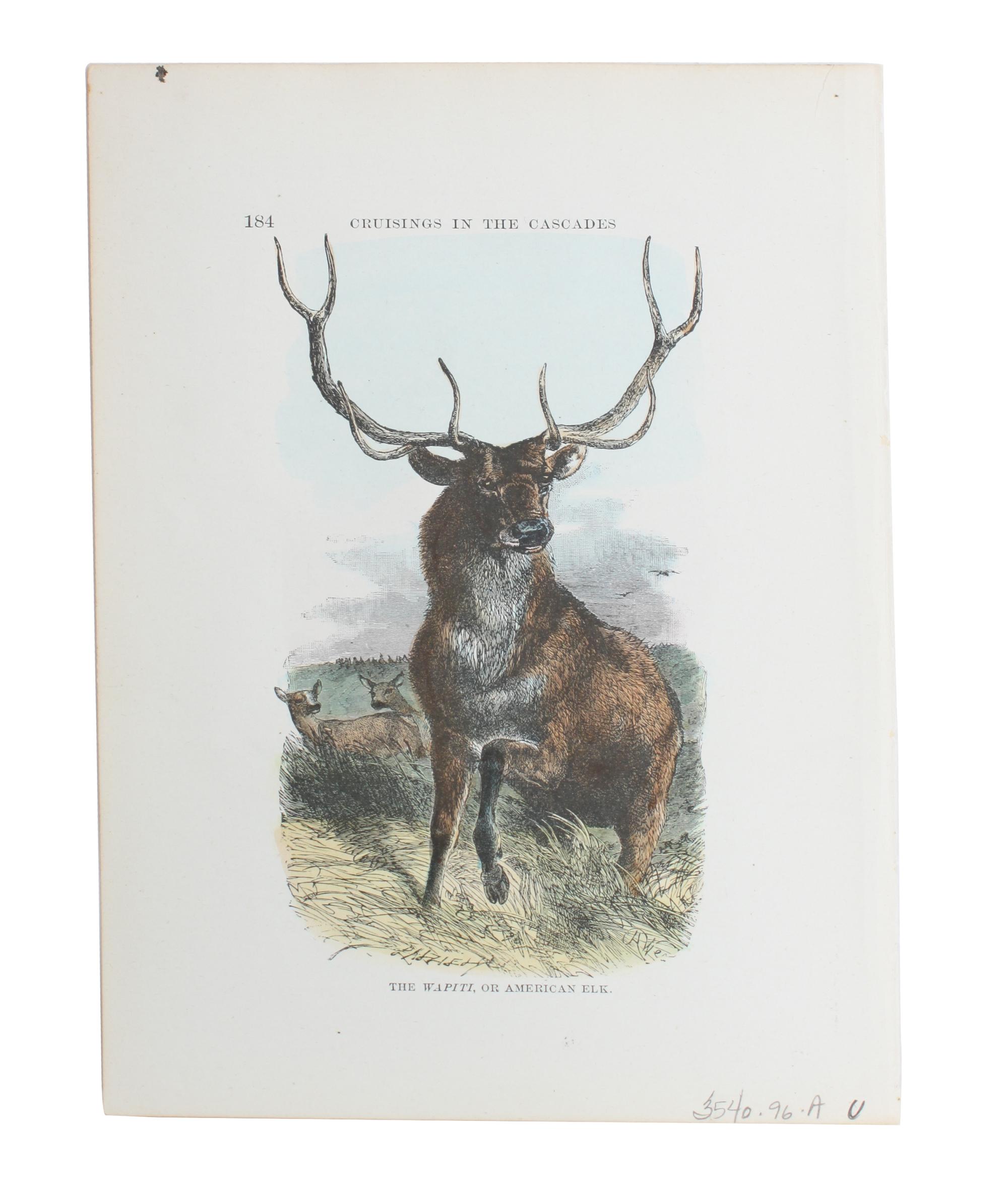 Eight Hand Colored Animal Prints Height 7 1/2 x width 10 3/4 inches (largest) — LATE 19TH/EARLY 20TH CENTURY