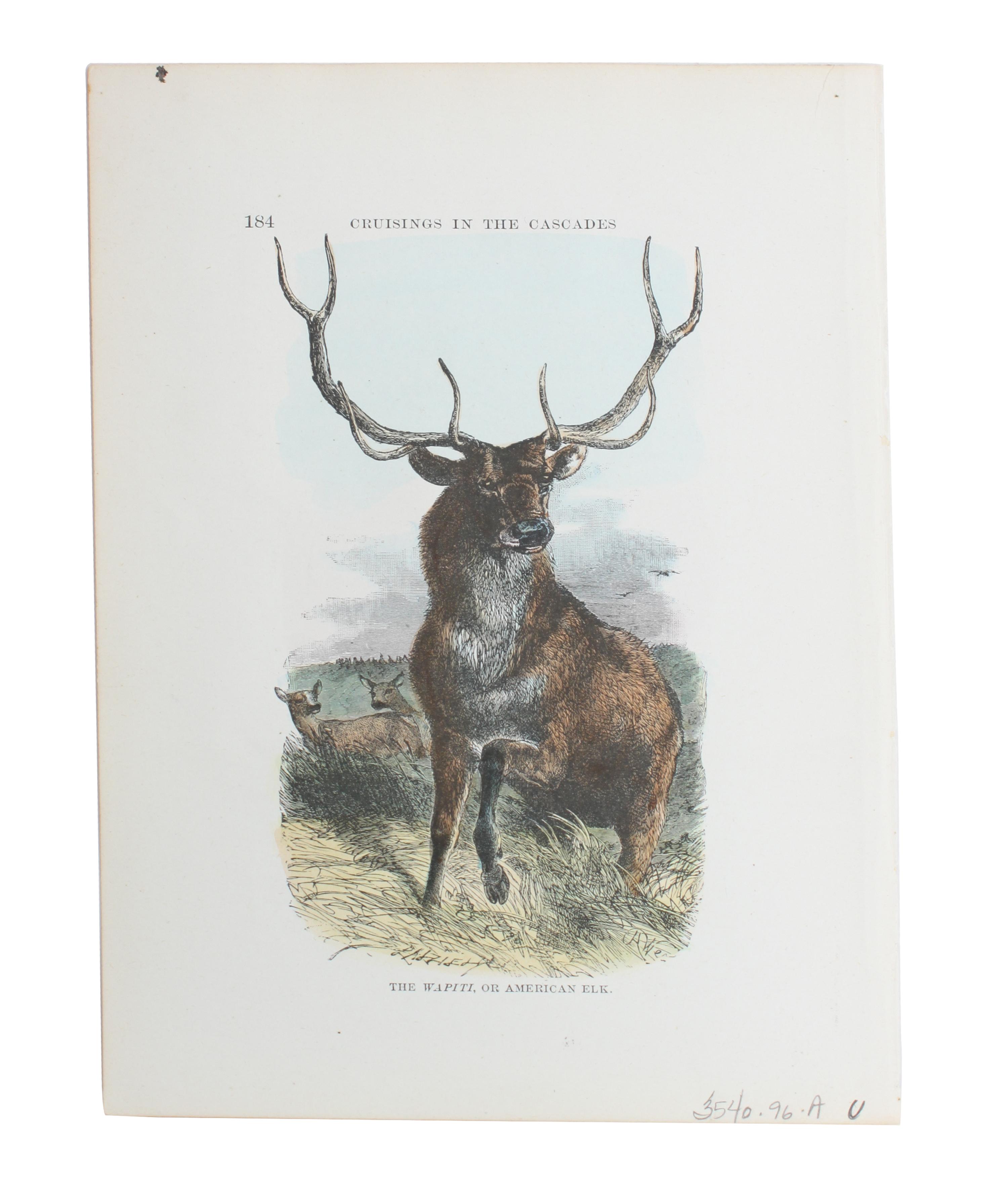 Eight Hand Colored Animal Prints Height 7 1/2 x width 10 3/4 inches (largest) — LATE 19TH/EARLY 20TH CENTURY