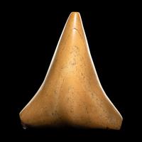 A Taino Stone Trigonolito