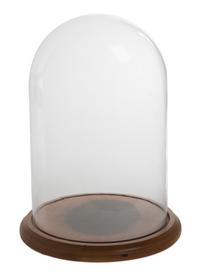 An American Glass Display Dome Height 16 inches.