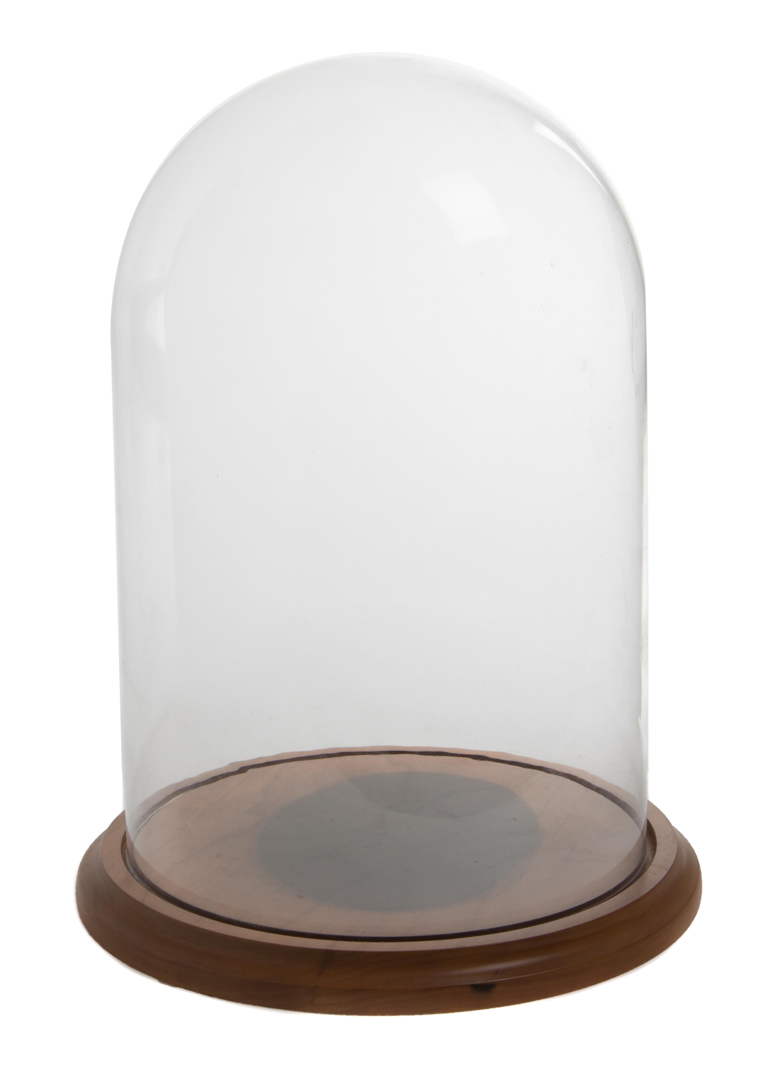 An American Glass Display Dome Height 16 inches.