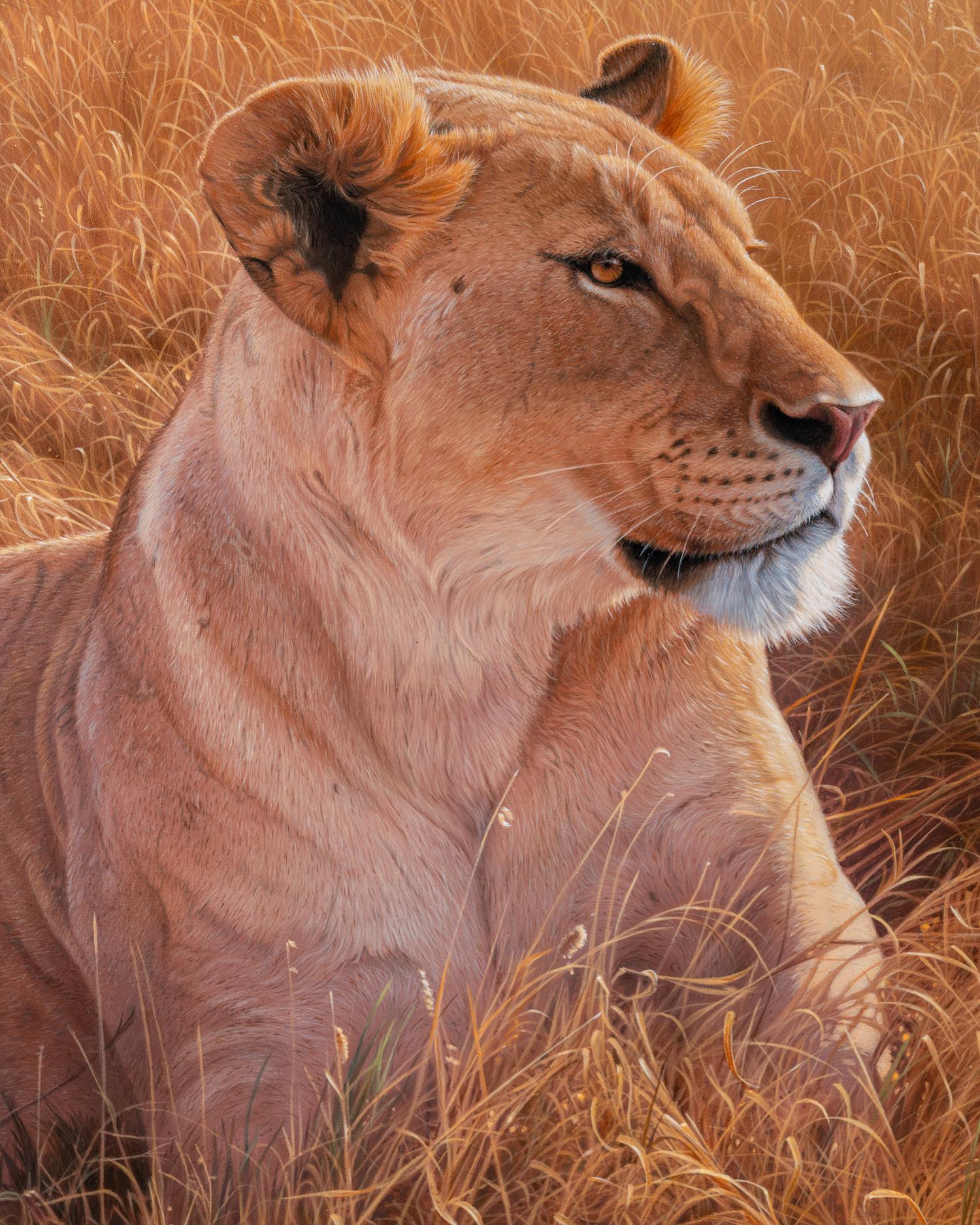 African Queen