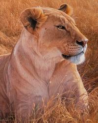 African Queen