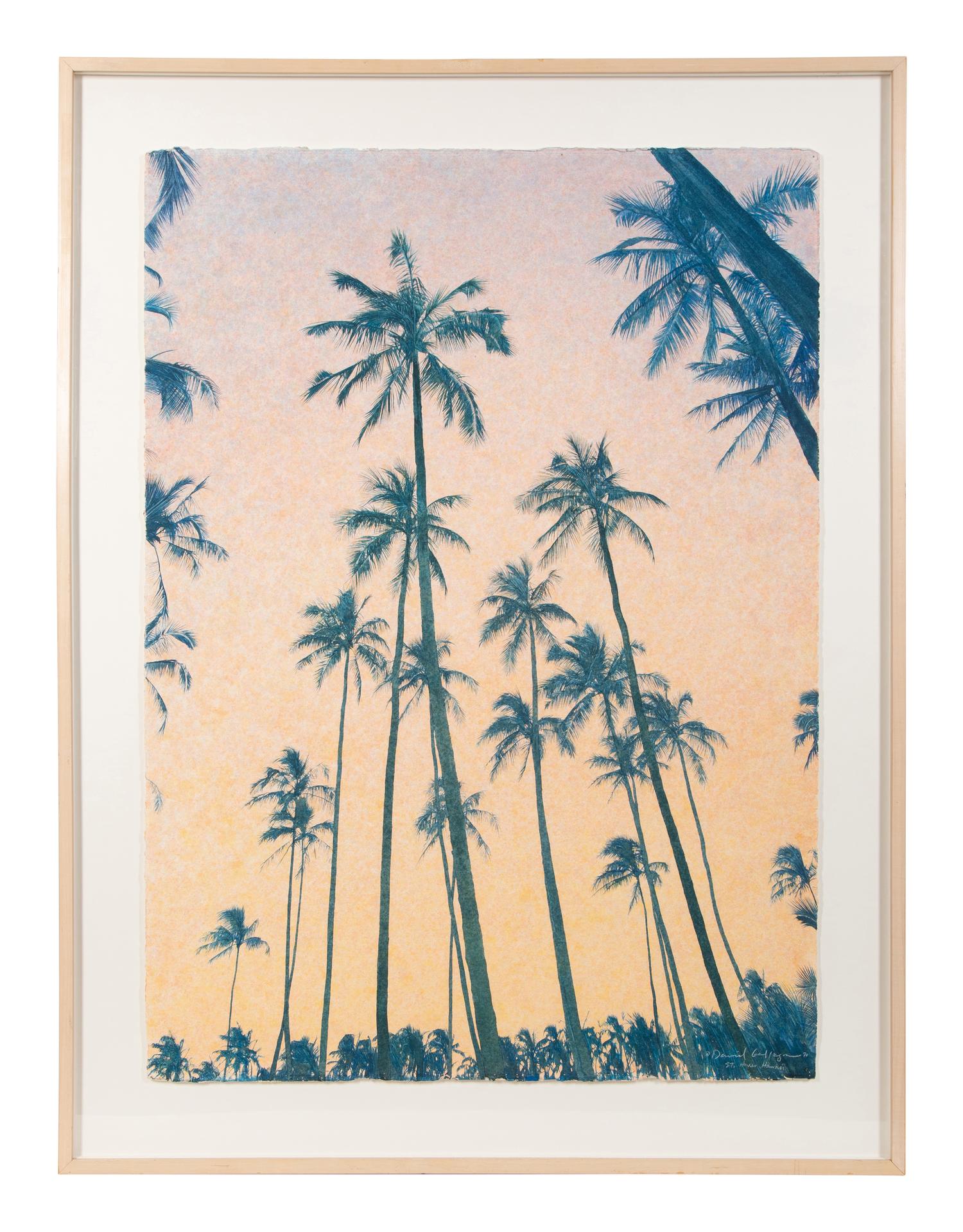 St. Anne's Palms