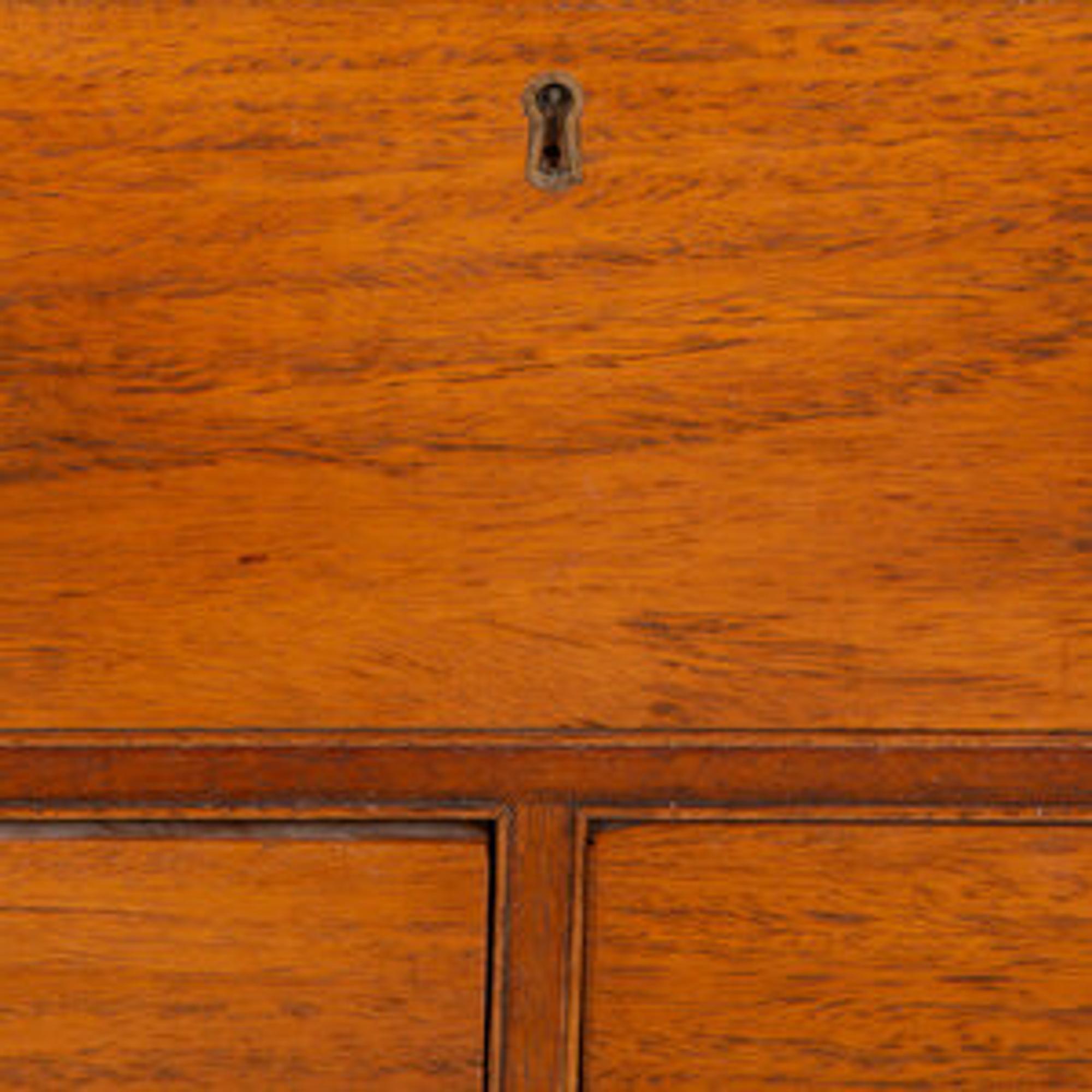An Anglo-Colonial Hardwood Campaign Style Chest
