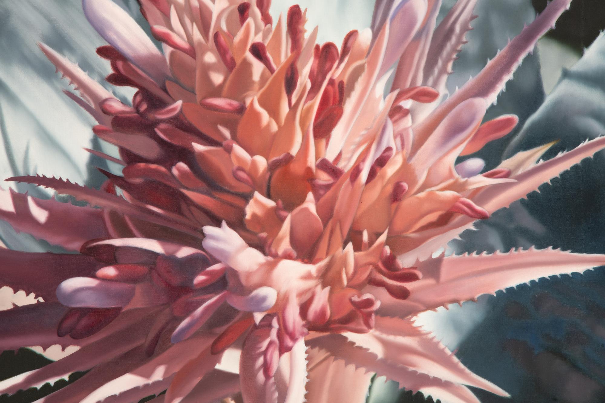 Aechmea , 1999
