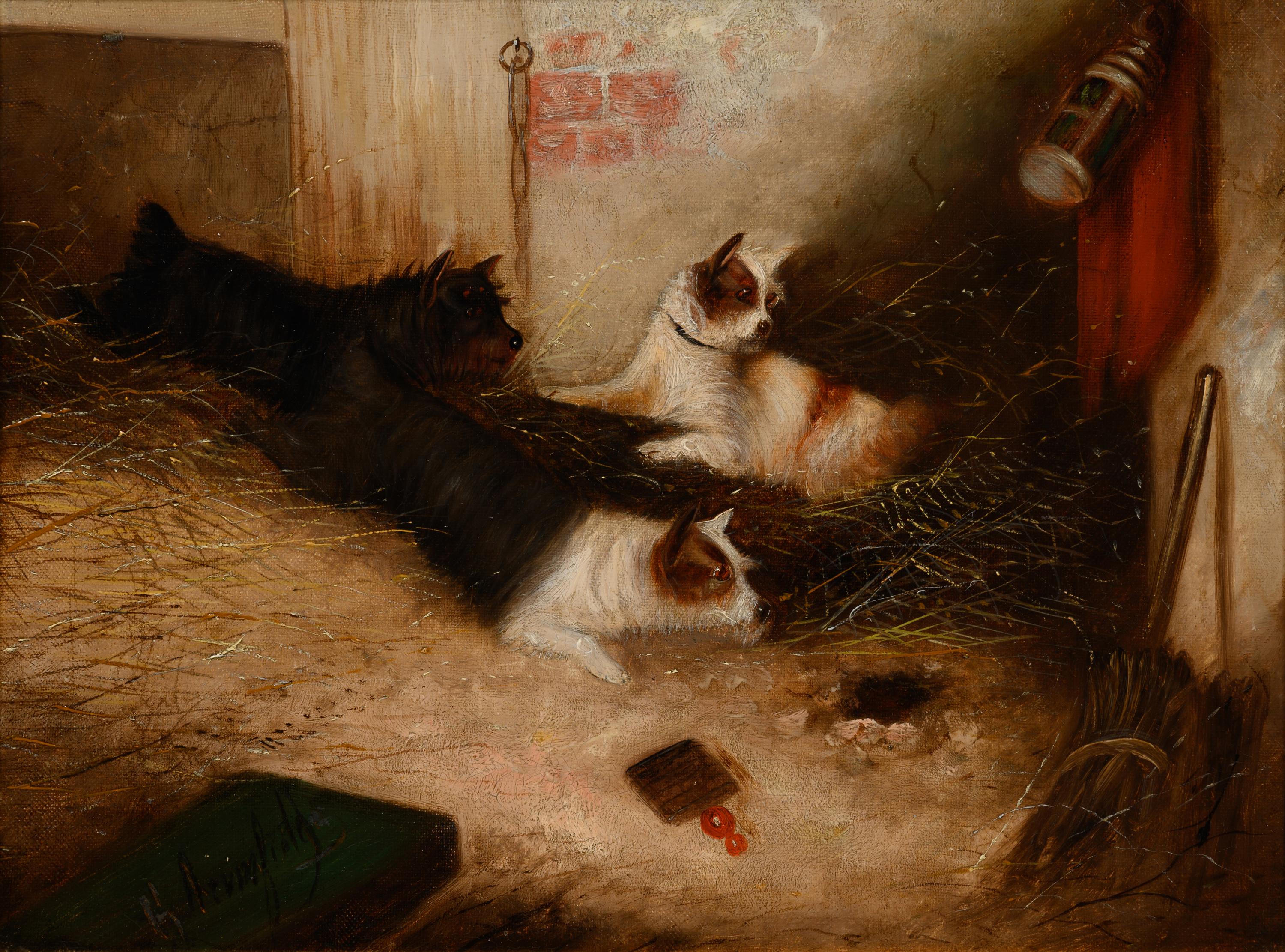 George Armfield (British, 1808-1893)