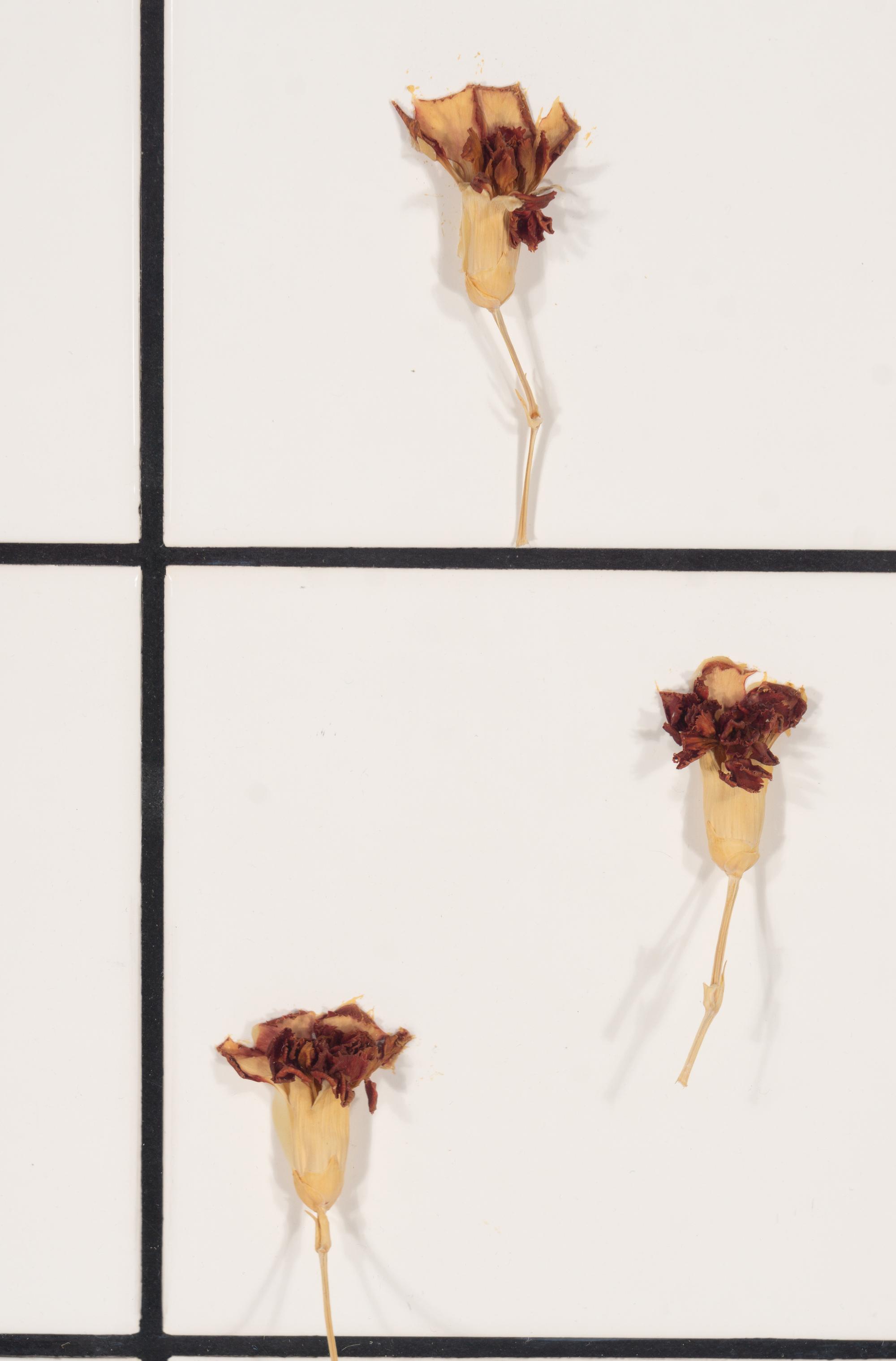 Tiles + Dried Flowers , 1996