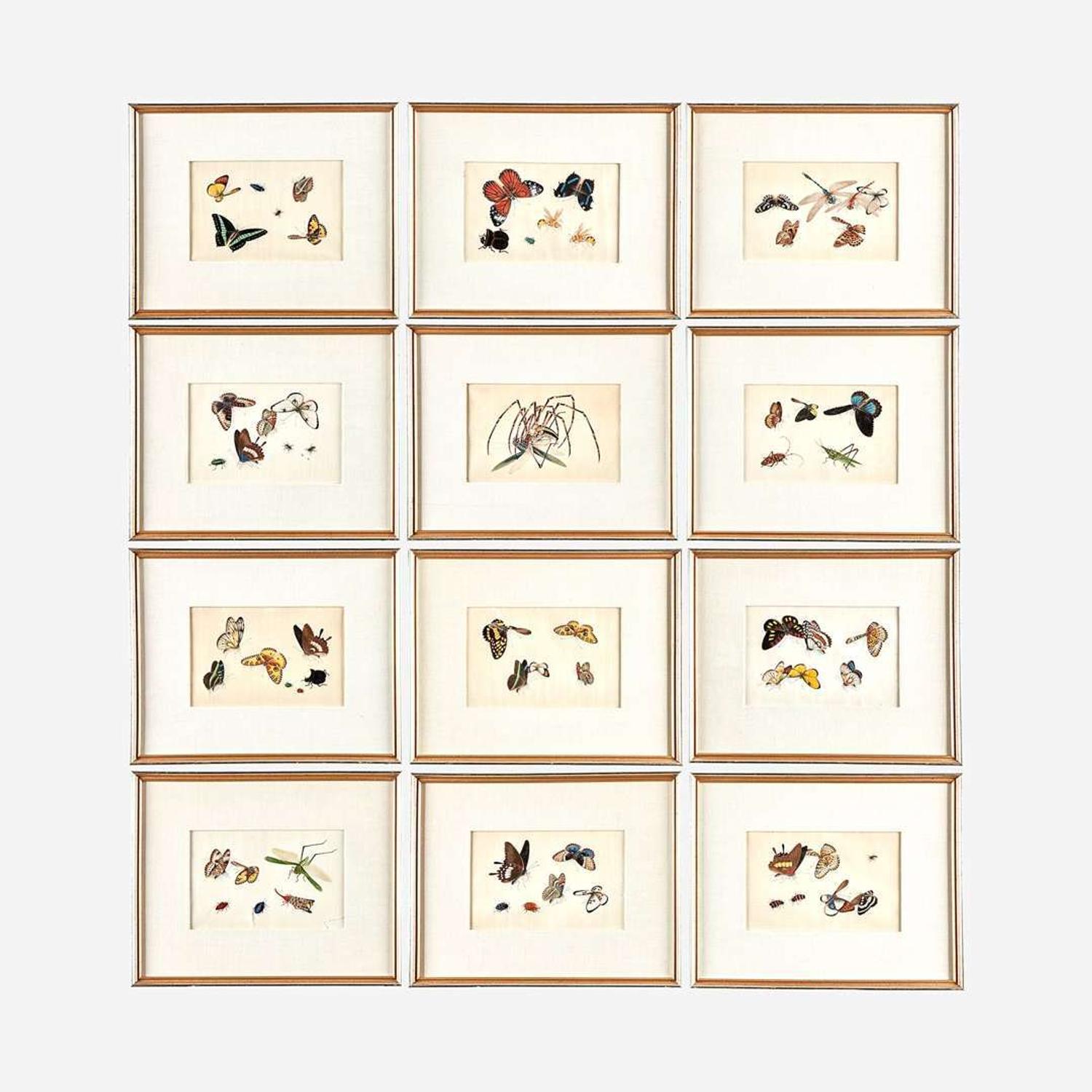 A Suite of Twelve Framed Chinese Export Paintings Sunqua (Chinese, active 1830-1870), Qing Dynasty