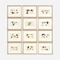 A Suite of Twelve Framed Chinese Export Paintings Sunqua (Chinese, active 1830-1870), Qing Dynasty