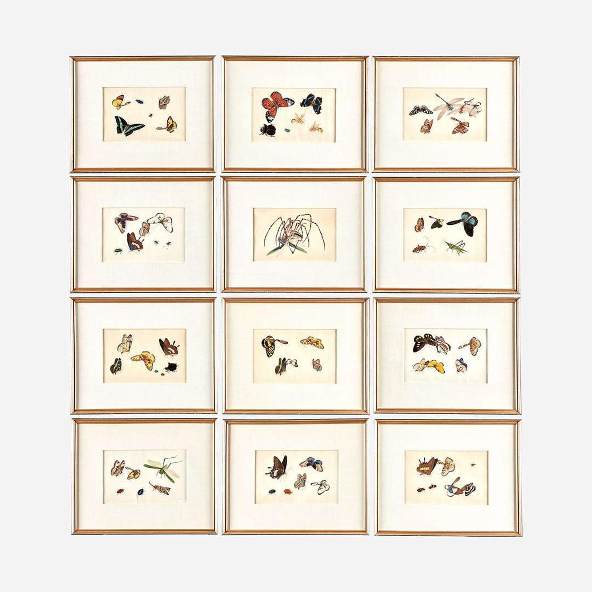 A Suite of Twelve Framed Chinese Export Paintings Sunqua (Chinese, active 1830-1870), Qing Dynasty