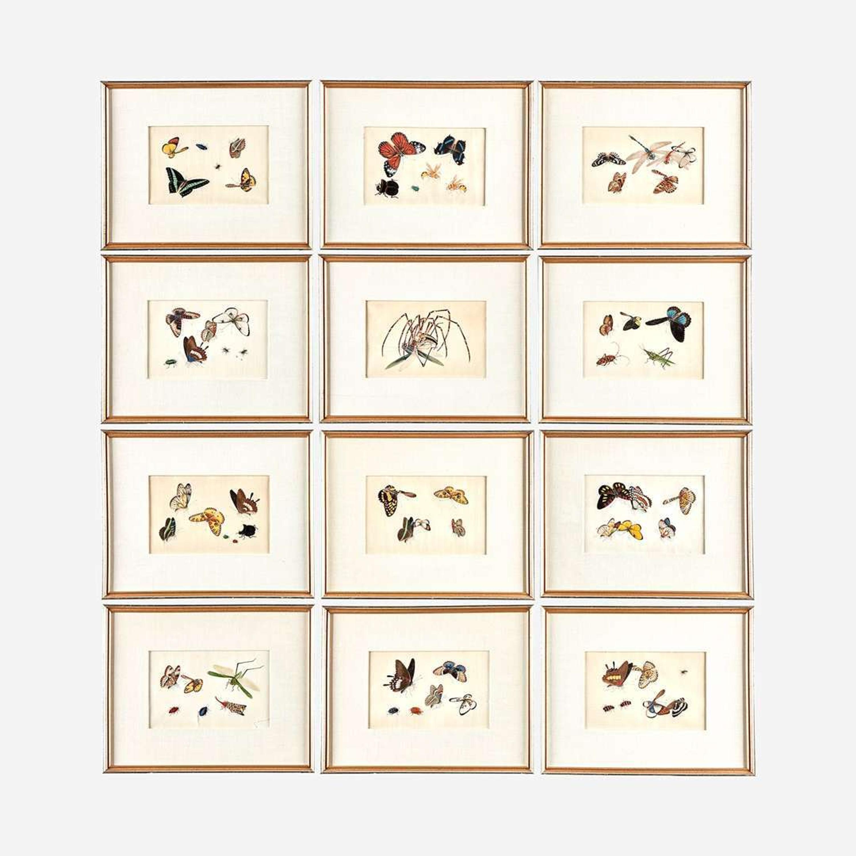 A Suite of Twelve Framed Chinese Export Paintings Sunqua (Chinese, active 1830-1870), Qing Dynasty