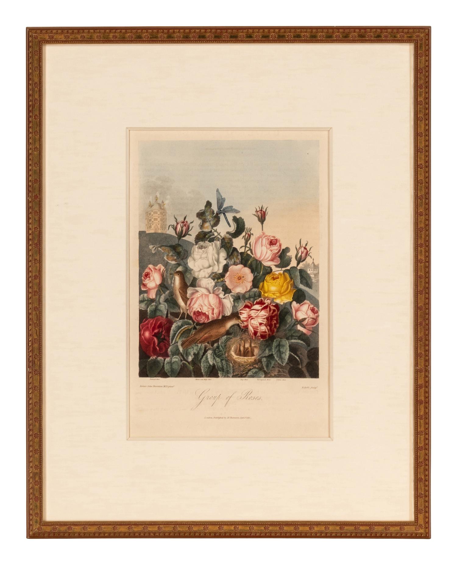 [NATURAL HISTORY]. THORNTON, Robert John (1768-1837). A group of 6 botanical plates from Thornton's 1812 quarto edition Temple of Flora . [London: for the author, 1812].